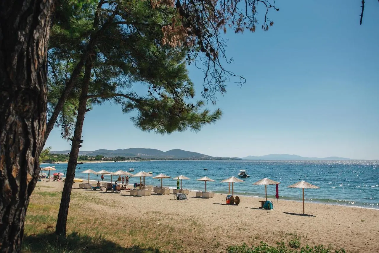 Olea Mare Studios & Apartments Chalkidiki Greece