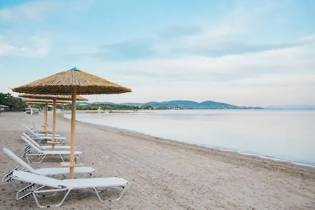 Olea Mare Studios & Apartments Chalkidiki Greece