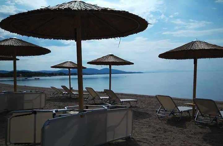 Olea Mare Studios & Apartments Chalkidiki